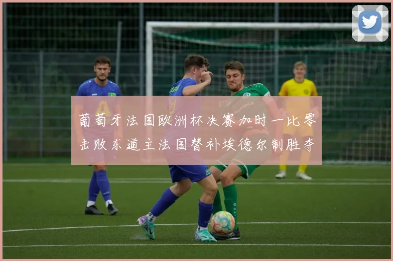 葡萄牙法国欧洲杯决赛加时一比零击败东道主法国替补埃德尔制胜夺冠