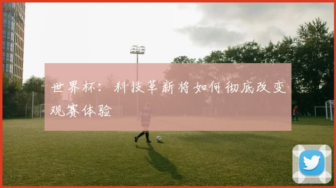世界杯：科技革新将如何彻底改变观赛体验