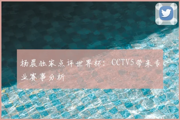 杨晨独家点评世界杯：CCTV5带来专业赛事分析